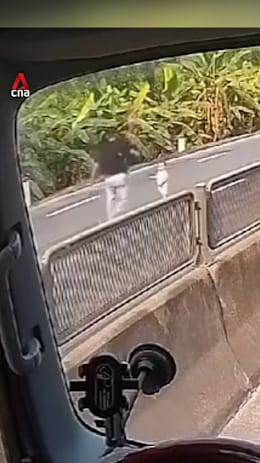 Truck driver saves toddler who strayed onto Vietnam highway