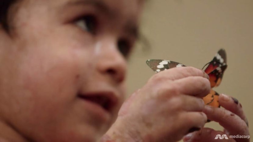 Singapore’s butterfly children, born with ‘the worst disease you’ve never heard of’