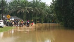 Related article image