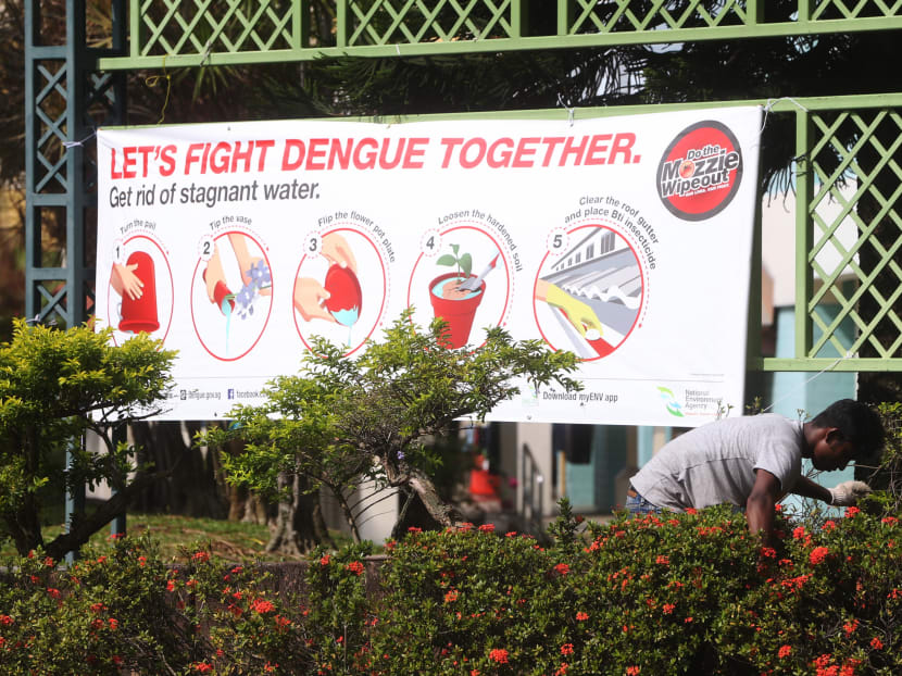 Homeowners and occupants are strongly urged to do their part in the fight against dengue, by paying close attention to any mosquito breeding spots and taking the necessary steps to prevent or remove them. Homeowners and occupants are strongly urged to do their part in the fight against dengue, by paying close attention to any mosquito breeding spots and taking the necessary steps to prevent or remove them.