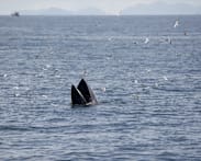 Global panel to hear Cambodia, Thailand sea dispute in Singapore
