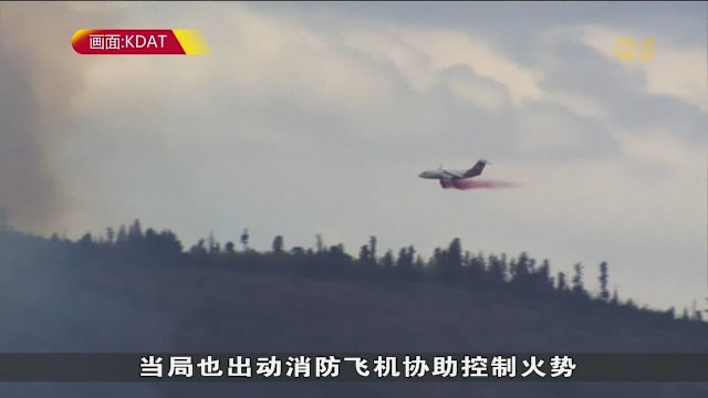 美国小型医疗专机山区撞毁 全机四人不幸罹难