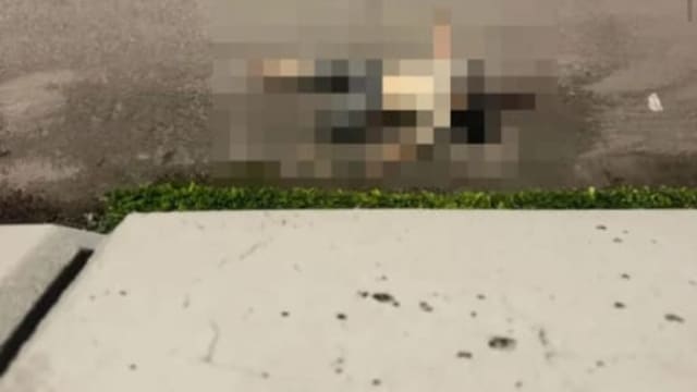 疑误闯轿车通道逆行折返 狮城男护士新山坠桥身亡