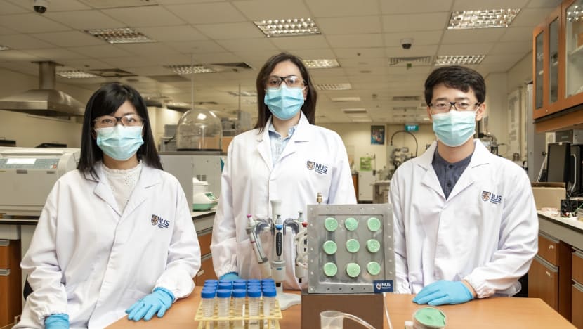 NUS researchers create aerogel that turns air into drinking water