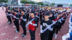 Related article image