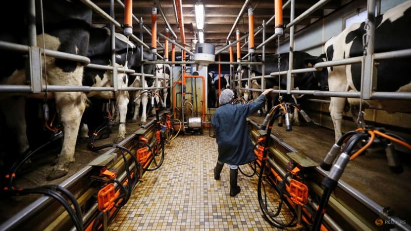 Europe wants to attract younger farmers to address worries of ageing agricultural sector Europe wants to attract younger farmers to address worries of ageing agricultural sector