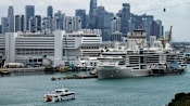 Singapore tour operators see up to 30% boost in business from cruise tie-ups