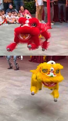 Robot dogs in Singapore perform lion dance