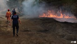 Rescuers evacuate 50,000 as Türkiye battles wildfires
