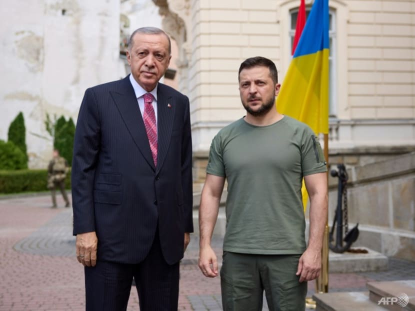 Russia and Ukraine agree to swap 200 prisoners: Erdogan