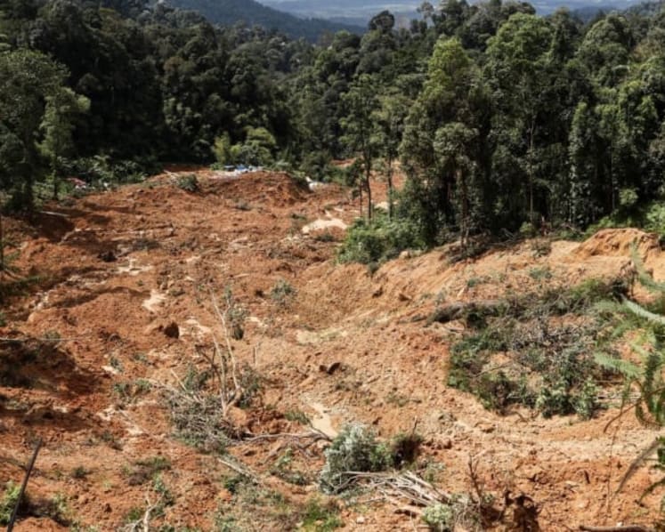 Tanah runtuh, banjir dan cuaca buruk: Sejauh mana Malaysia selamat dilawati semasa tengkujuh? 