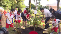 Related article image