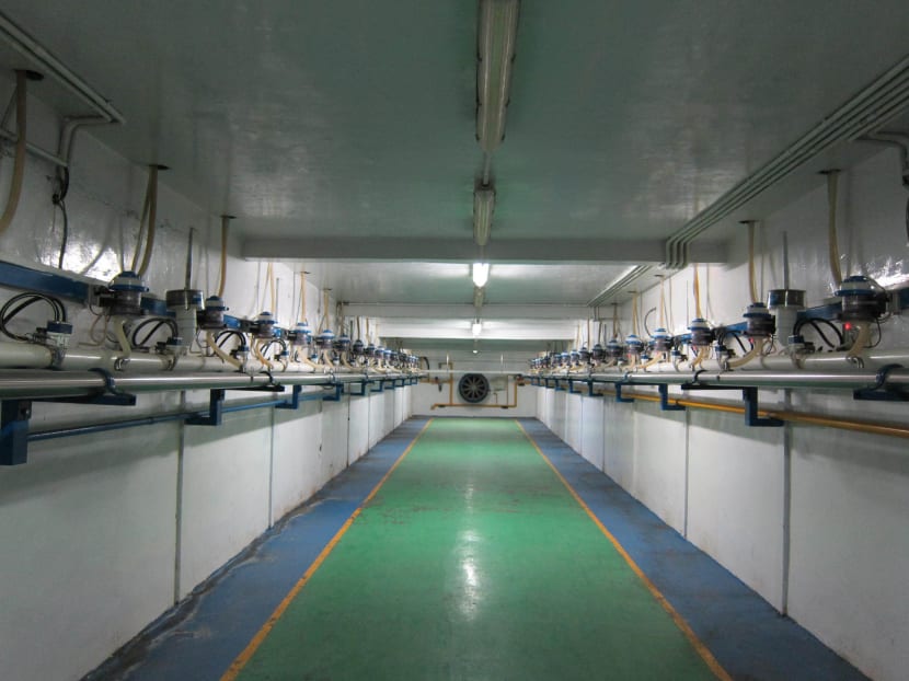 Dairy farms to expand in Asia as milk consumption increases