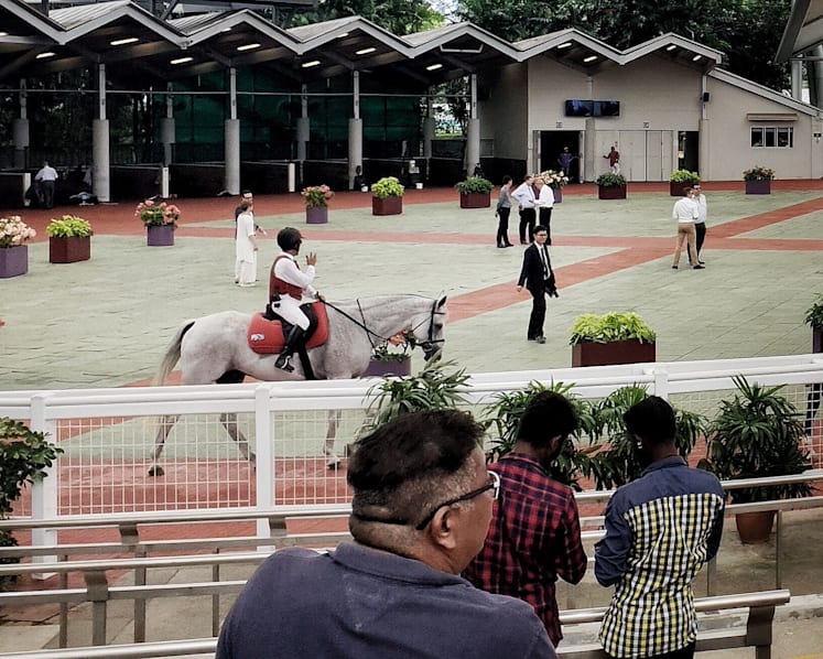 Catching up with the times: Turf club faces uphill task to draw younger crowd, non-horse racing fans