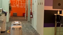 Related article image