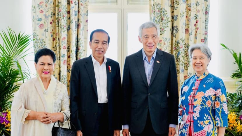 'Delighted' to be Covid-19 free, PM Lee meets Indonesian President Jokowi for chicken rice