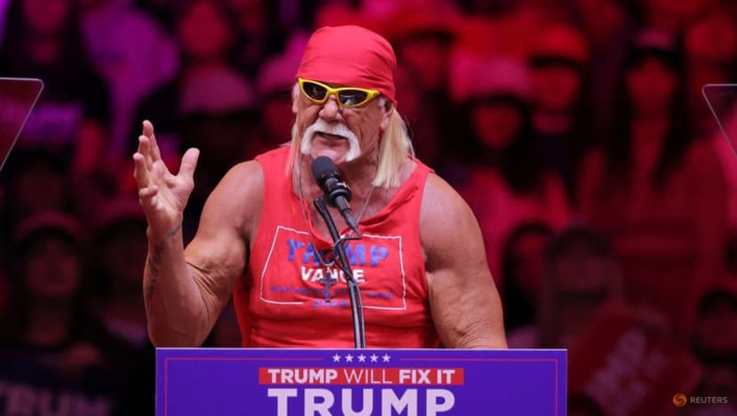 Hulk Hogan, who helped turn pro wrestling into billion-dollar spectacle,  dies at 71 - CNA