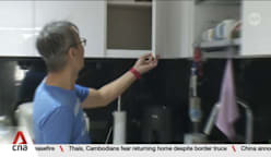 Year-end renovation rush: Demand for low-formaldehyde materials driving prices up 