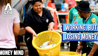 Money Mind 2026 - Fishing crisis