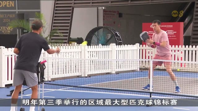 我国将办东南亚最大匹克球锦标赛 体育城增设八个球场