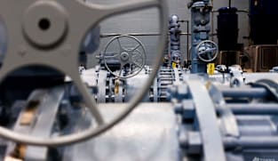 EU ban on 'forever chemicals' set for delay