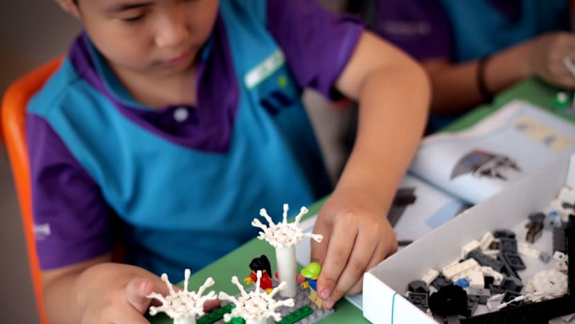 All MOE students, teachers to get SG50 LEGO sets