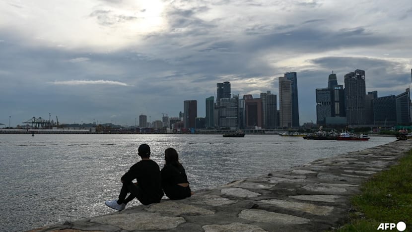 More young Singapore residents staying single as family sizes shrink