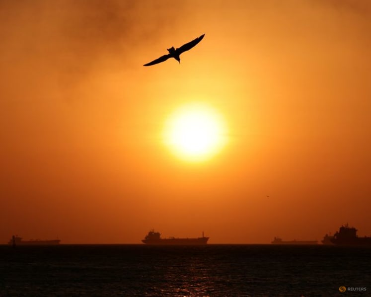 South Korea refiners considering imports of Venezuelan crude, association says 