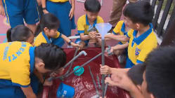 Related article image