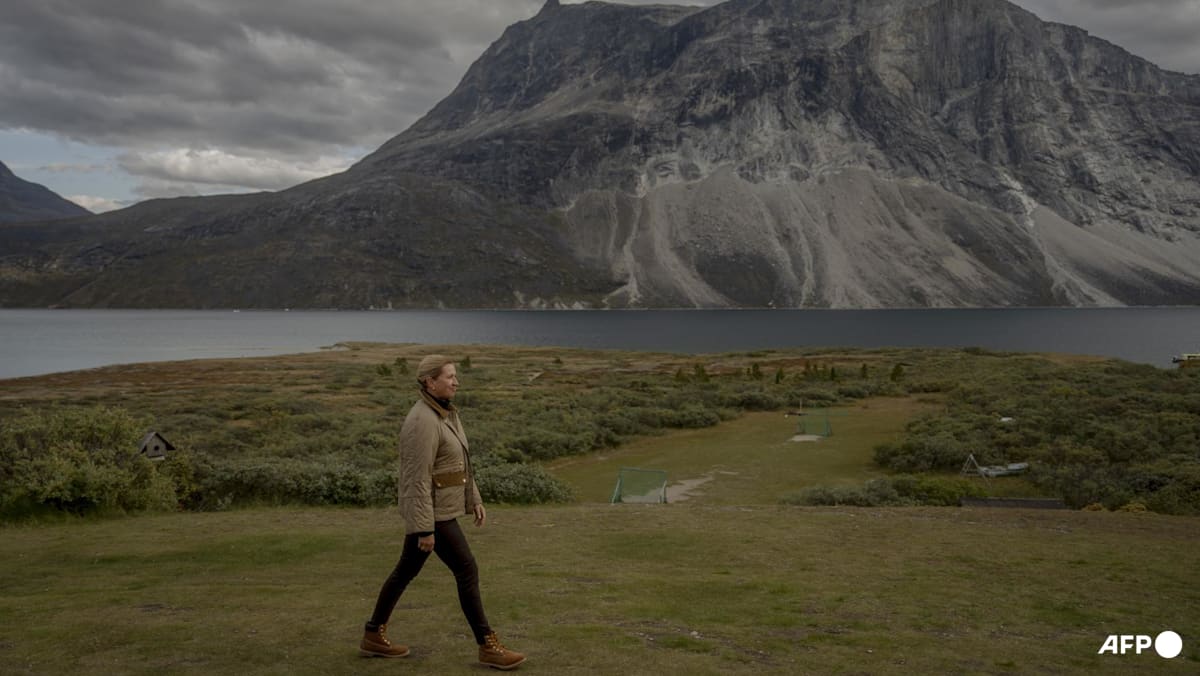 Denmark hails 'binding' Greenland deal with Trump