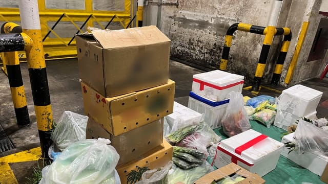 当局起获160公斤非法进口蔬菜水果