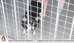 Animal Lovers League says it is hard to sustain care due to lack of funds and expensive bills 