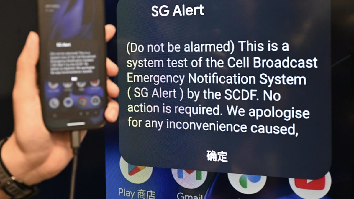 Singapore to roll out mass emergency alerts to mobile phones from May, starting with Singtel users