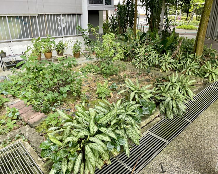 Unauthorised plants dealt with on 'case by case basis': MPs