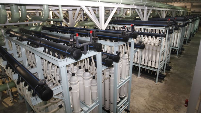PUB moves to protect desalination plants from algae in seawater