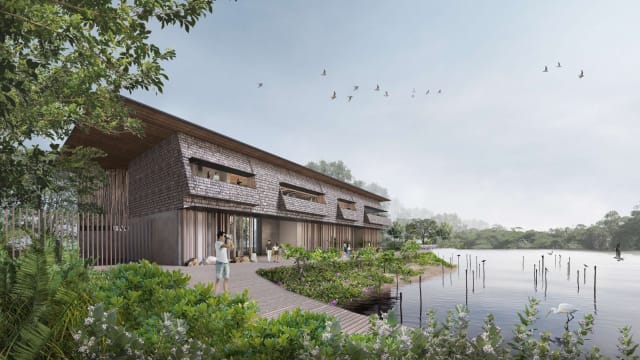 万礼红树林和滩涂将发展成自然公园 改造工程明年启动