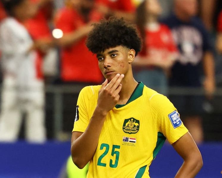 Ibrahimovic offers support to Australia's Herrington after World Cup penalty heartbreak