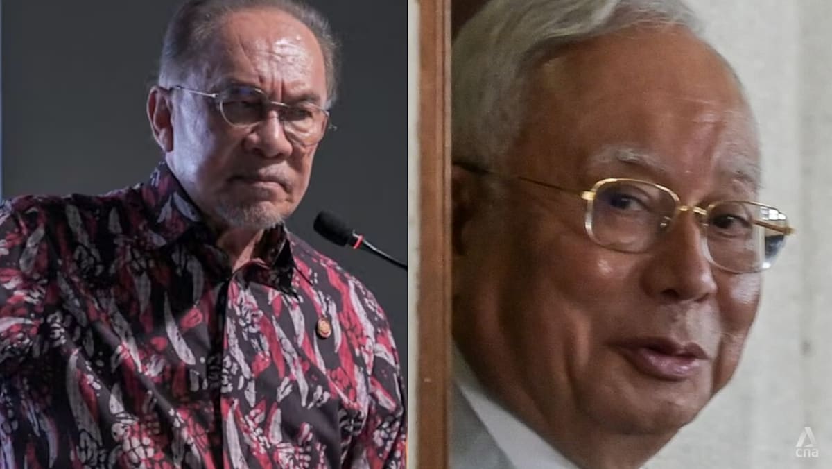 Malaysian PM Anwar says he flagged concerns over Najib’s pardon to king