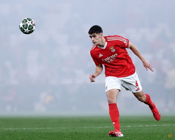 Bournemouth sign Portugal centre-back Silva from Benfica