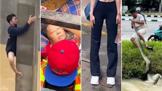 回顾2025：《8视界》最火短视频观看量破3000万 你看了吗？