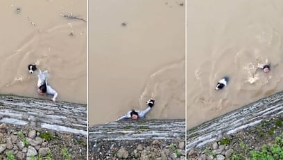 Woman does not abandon dog guangxi flood