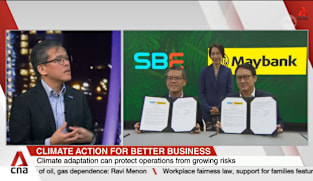 More support for businesses to implement practical climate risk solutions