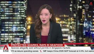 Protected marine wildlife still being sold illegally in Singapore	