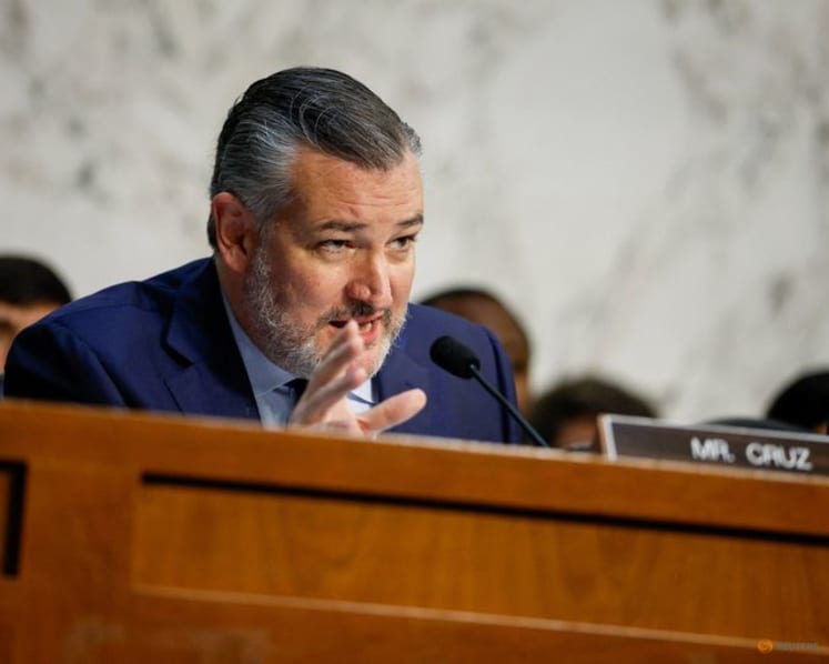 US Senate report says spending on consultants for internet subsidy program tops $200 million annually
