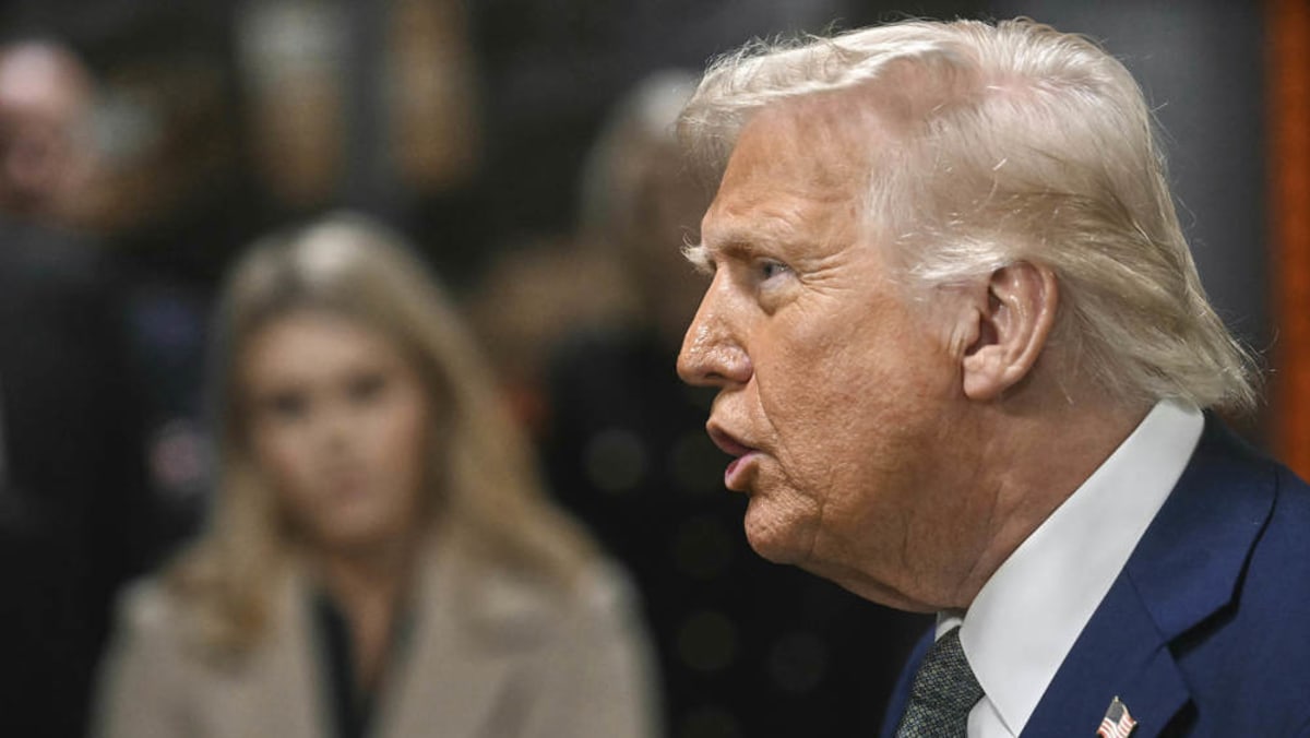 Trump veers towards courts clash over migrant flights