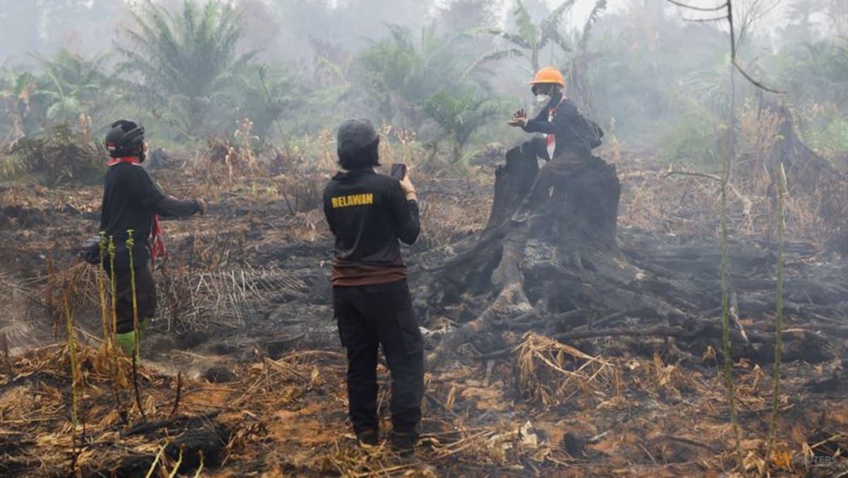 Indonesia's wildfires may last until early November, minister says - CNA