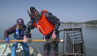 Japan Hour - Cycle Around Japan - Shimane: Land of Legends