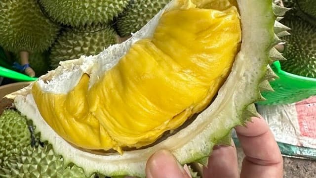 越南猫山王售价暴跌70%  果农砍掉200棵树止损