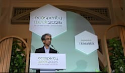 Temasek 'unlikely' to meet 2030 climate target amid tougher global landscape: CEO Dilhan Pillay