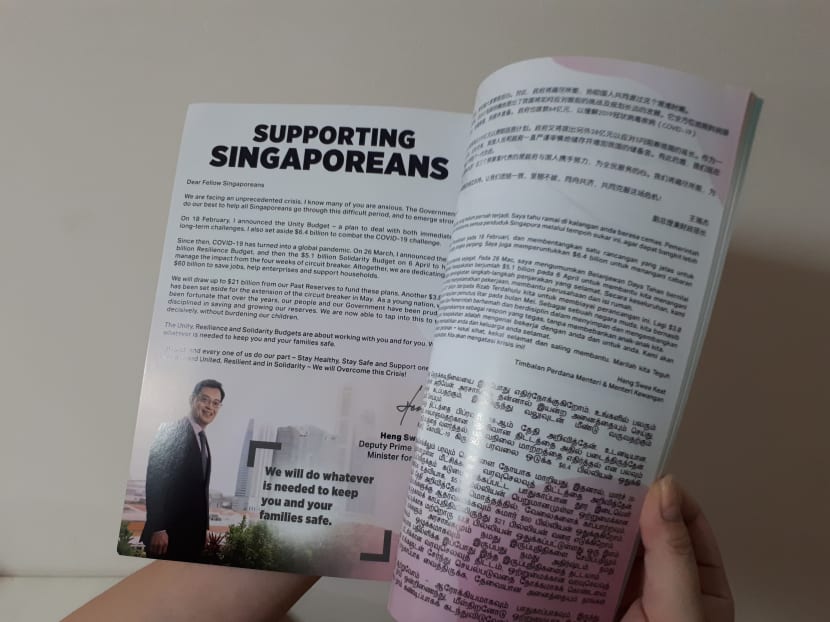 A copy of the Budget 2020 booklet that the Ministry of Finance sent to households.
